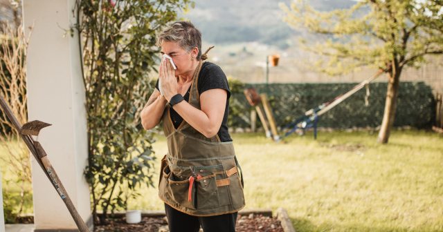 Woman blowing her nose while gardening