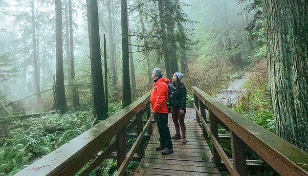 Two people stop on a boardwalk in the midst of a forest trail on a misty day.