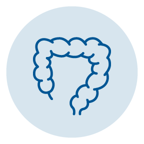 Colon icon | Digestive health and Gastroenterology