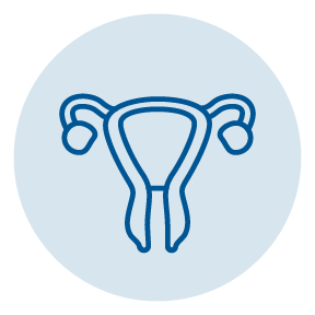Ovaries icon | Gynecology & Obstetrics