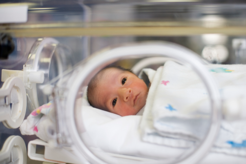 Baby stock getty nicu