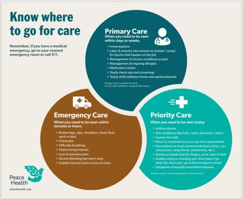 Illustration and list of different care settings - primary care, priority care, emergency care