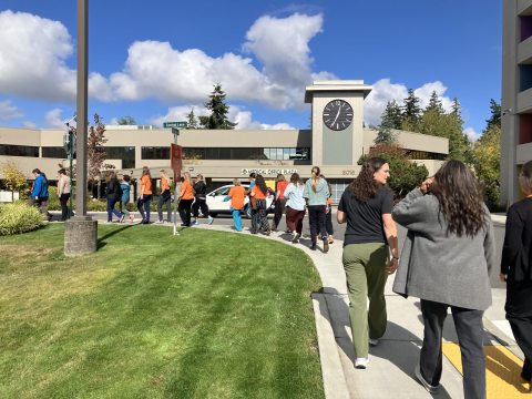 Orange T-shirt group near cordata