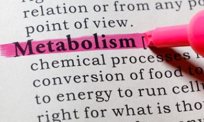 Pink highlighter pen marking the word "metabolism" on a printed page