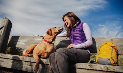 Woman and dog sit on a bench at the beach