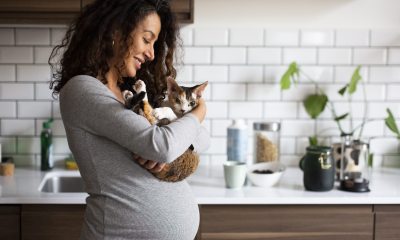 Pregnant woman holds a cat