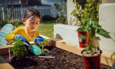 Girl digs in dirt of raised garden bed