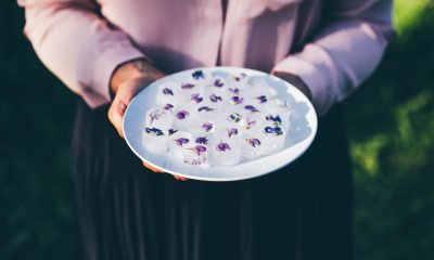 Person holds plate of fancy ice cubes