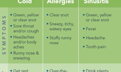 Inforgraphic illustration with symptoms and treatment information for cold, allergies and sinusitis