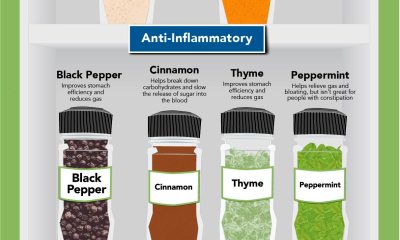 9 herbs and spices infographic
