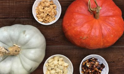 Pumpkin varieties and their seeds