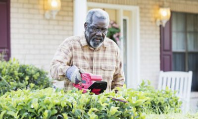 man trims bushes during spring