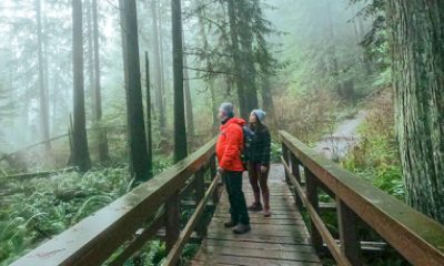 Two people stop on a boardwalk in the midst of a forest trail on a misty day.