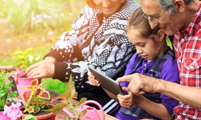 A child and grandparents looking at an ipad while potting planters