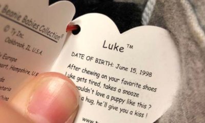 This Beanie Baby (TM) named Luke meant something special to a mom and her three-year-old.