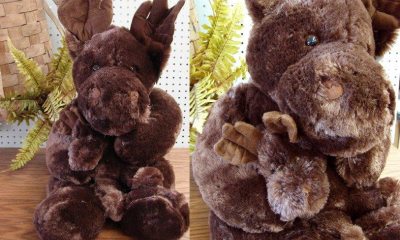 Stuffed plush moose rests on a table with fern in background