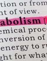 Pink highlighter pen marking the word "metabolism" on a printed page