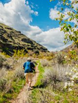 Older hiker walks up a hill on a sunny day.