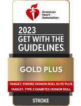 icon of the 2023 Get With The Guidelines- GoldPlus award for stroke care