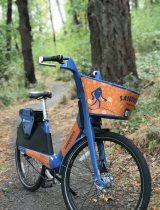 "Sasquatch bike" in blue and orange sits on a trail in the forest