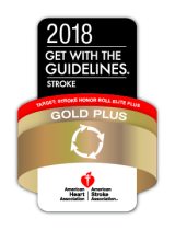 2018 Get with the Guidelines Gold Plus Stroke Award badge 