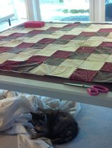 Beth's cat, Jasmine, cuddles under the table laid out with Beth's next quilt top. 
