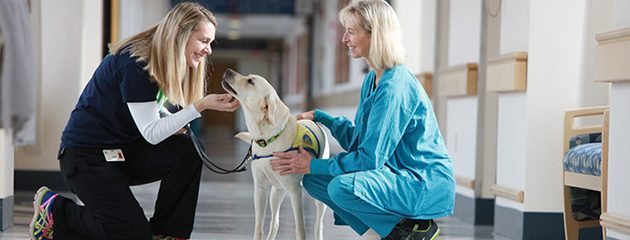 A PeaceHealth nurse pets a therapy dog as the volunteer coordinator smiles 