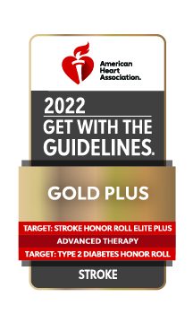 2022 American Heart Association Get with the Guidelines for Stroke Gold Plus badge