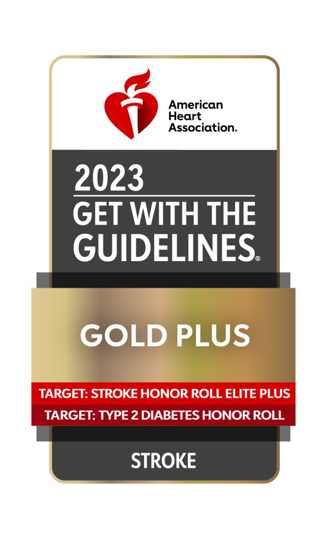 icon of the 2023 Get With The Guidelines- GoldPlus award for stroke care