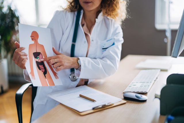 A doctor in a lab coat seated at her desk demonstrates the human digestive system on a chart in a modern medical office