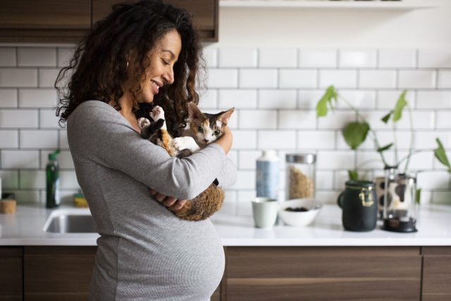 Pregnant woman holds a cat