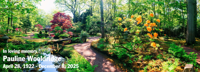 In loving memory of pauline woolridge