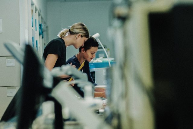 Two clinicians at work looking at something together