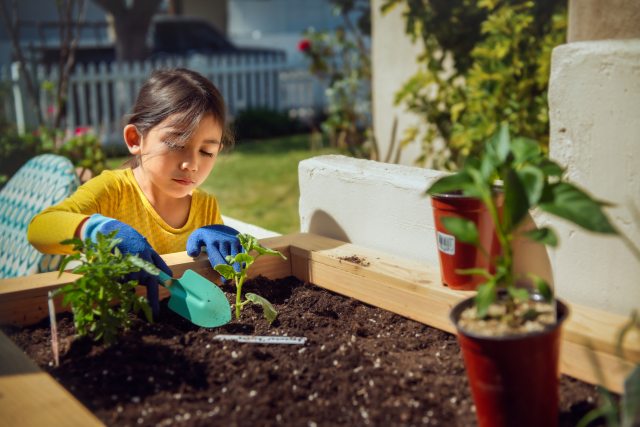 Girl digs in dirt of raised garden bed