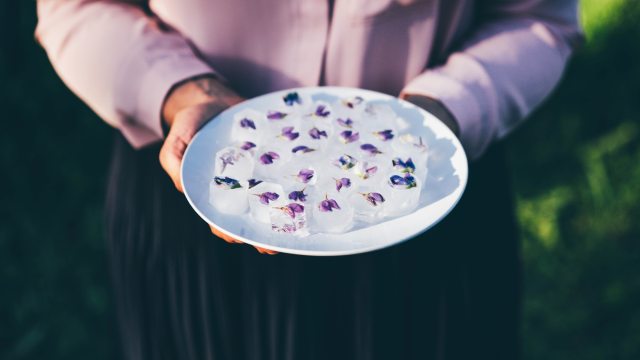 Person holds plate of fancy ice cubes