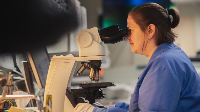 A caregiver in a medical lab studies samples under a microscope