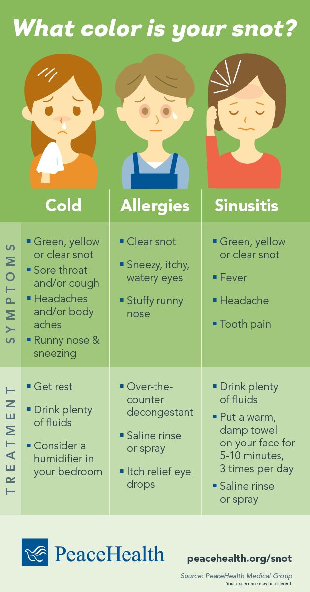 Inforgraphic illustration with symptoms and treatment information for cold, allergies and sinusitis