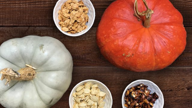 Pumpkin varieties and their seeds