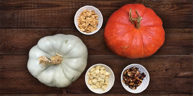 Pumpkin varieties and their seeds