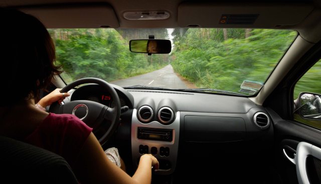 A woman drives a car through a forest with her hand on shifter knob