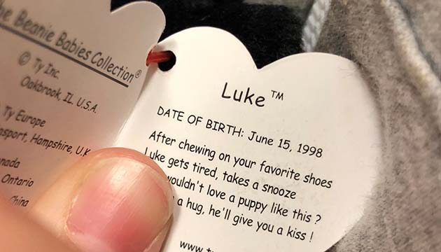 This Beanie Baby (TM) named Luke meant something special to a mom and her three-year-old.